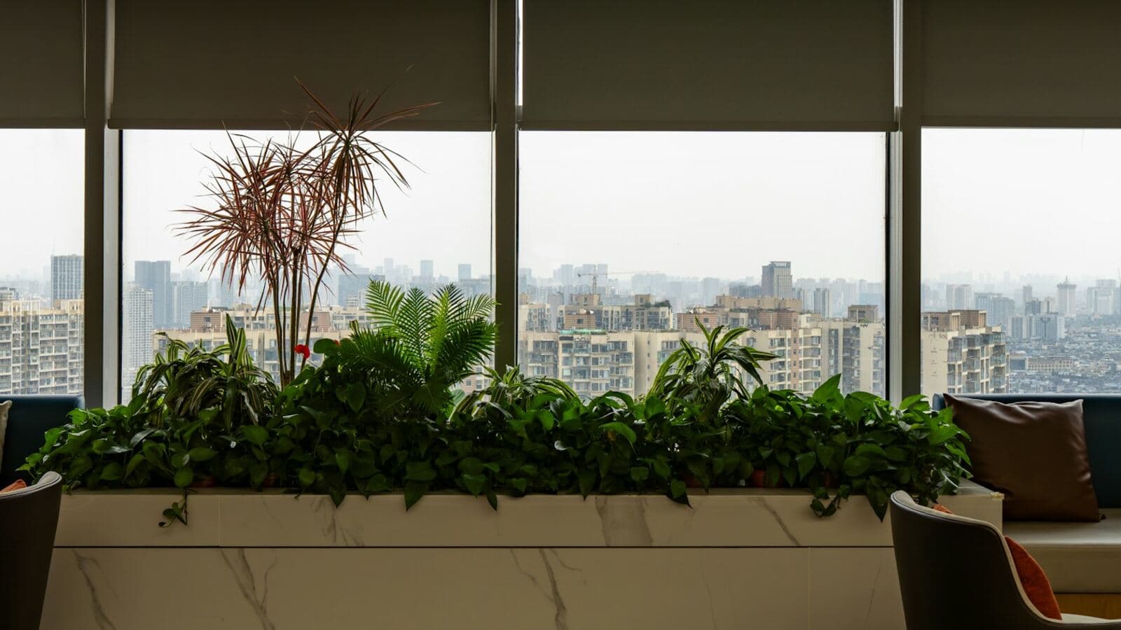 Residential building lounge with planters and a city view through floor-to-ceiling windows